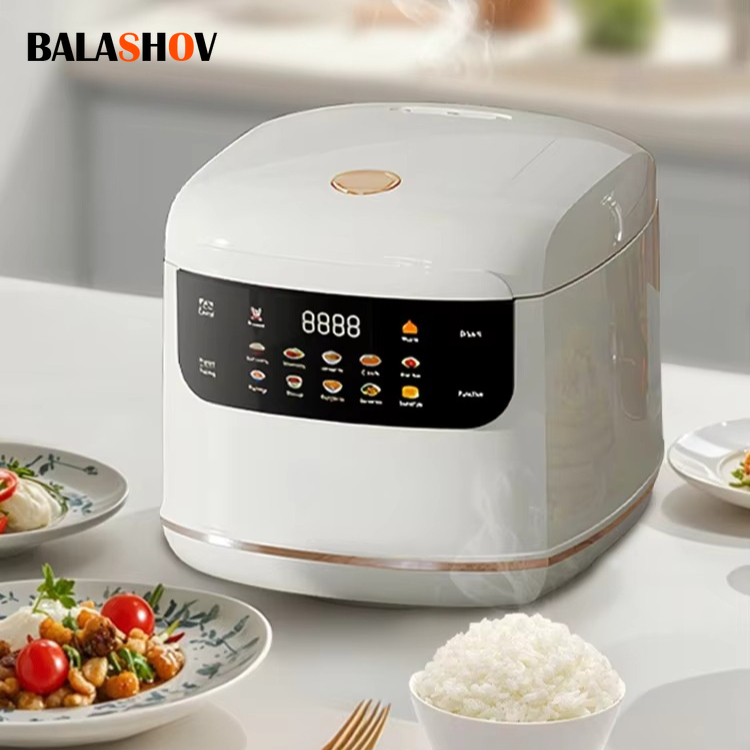 Home Cooking Oil Making Machine - MultiCooker Elektrischer Reiskocher 110V 220V Antihaft-Topf