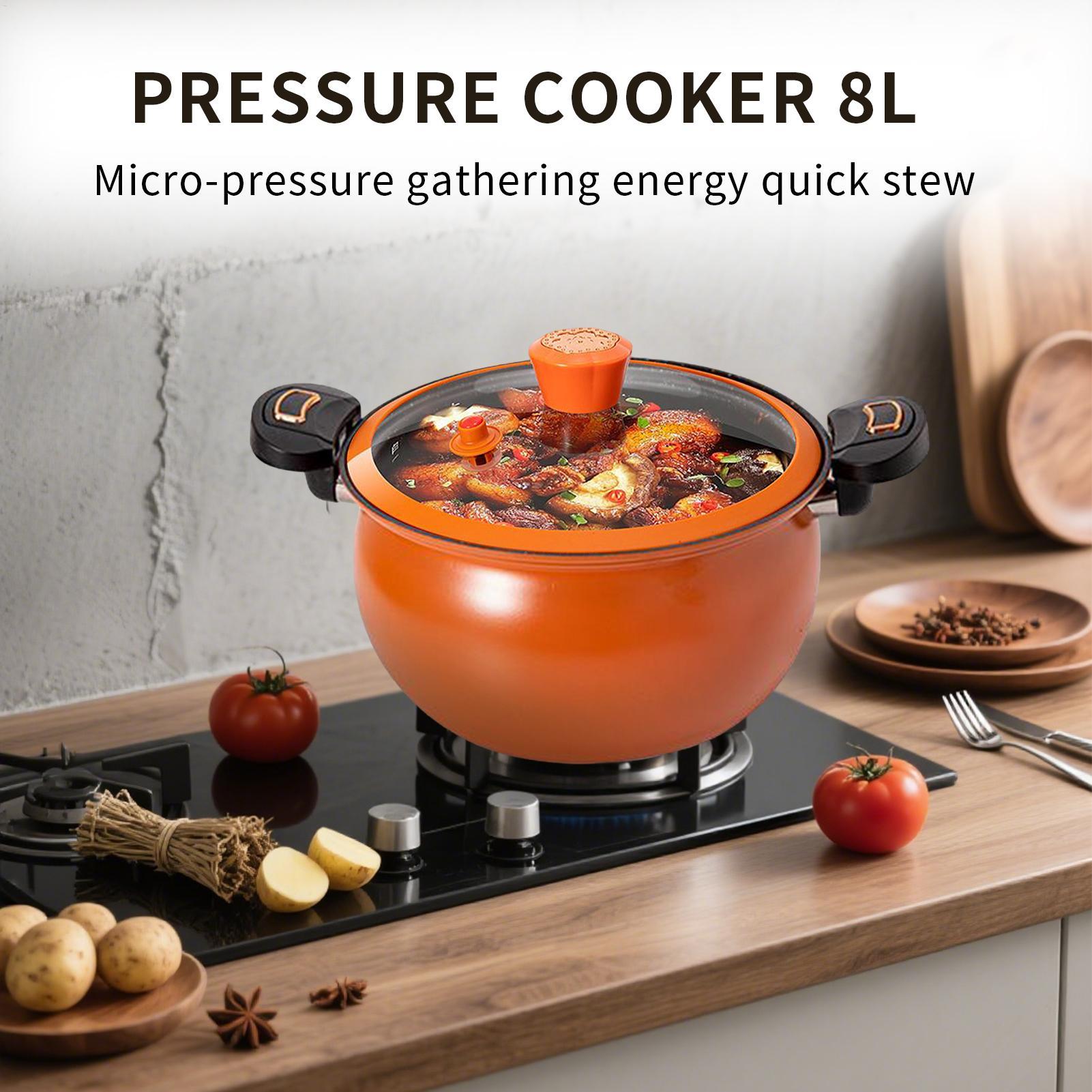 Kleiner Schnellkochtopf, antih – Home Cooking Fast Foods Bewertung und Preis