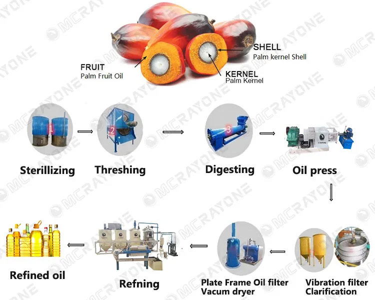 Palmöl-Extraktionsmaschine, Au – Home Cooking Oil Making Machine Bewertung und Preis